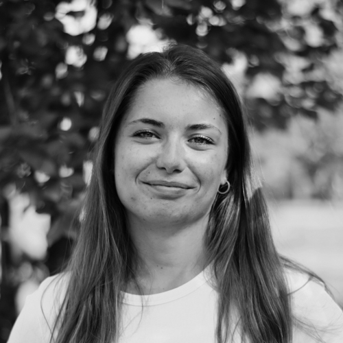 Lillou de Lestapis - Master 2 Communication pour l'audiovisuel