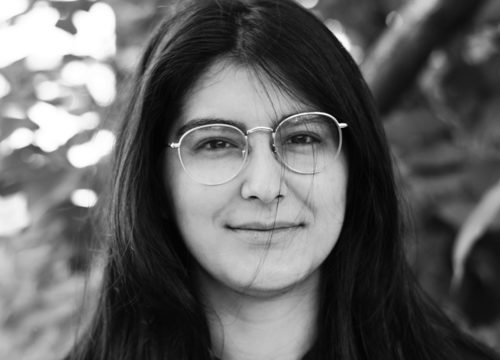 Tuğçe DEMIR