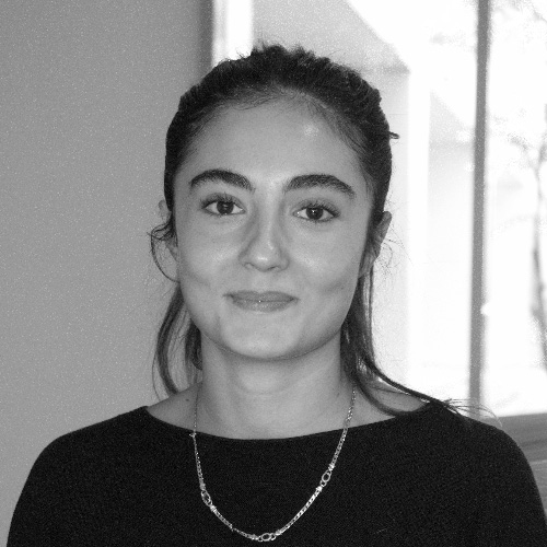 Chloé Laubertin - Master 2 Communication pour l'audiovisuel